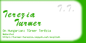 terezia turmer business card