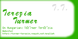 terezia turmer business card